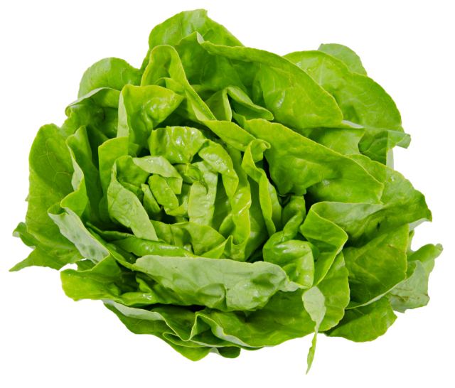 Salade Pommée/Cabus