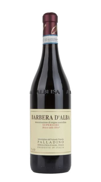 Barbera d'Alba Superiore 'Bricco delle Olive' Palladino 2022